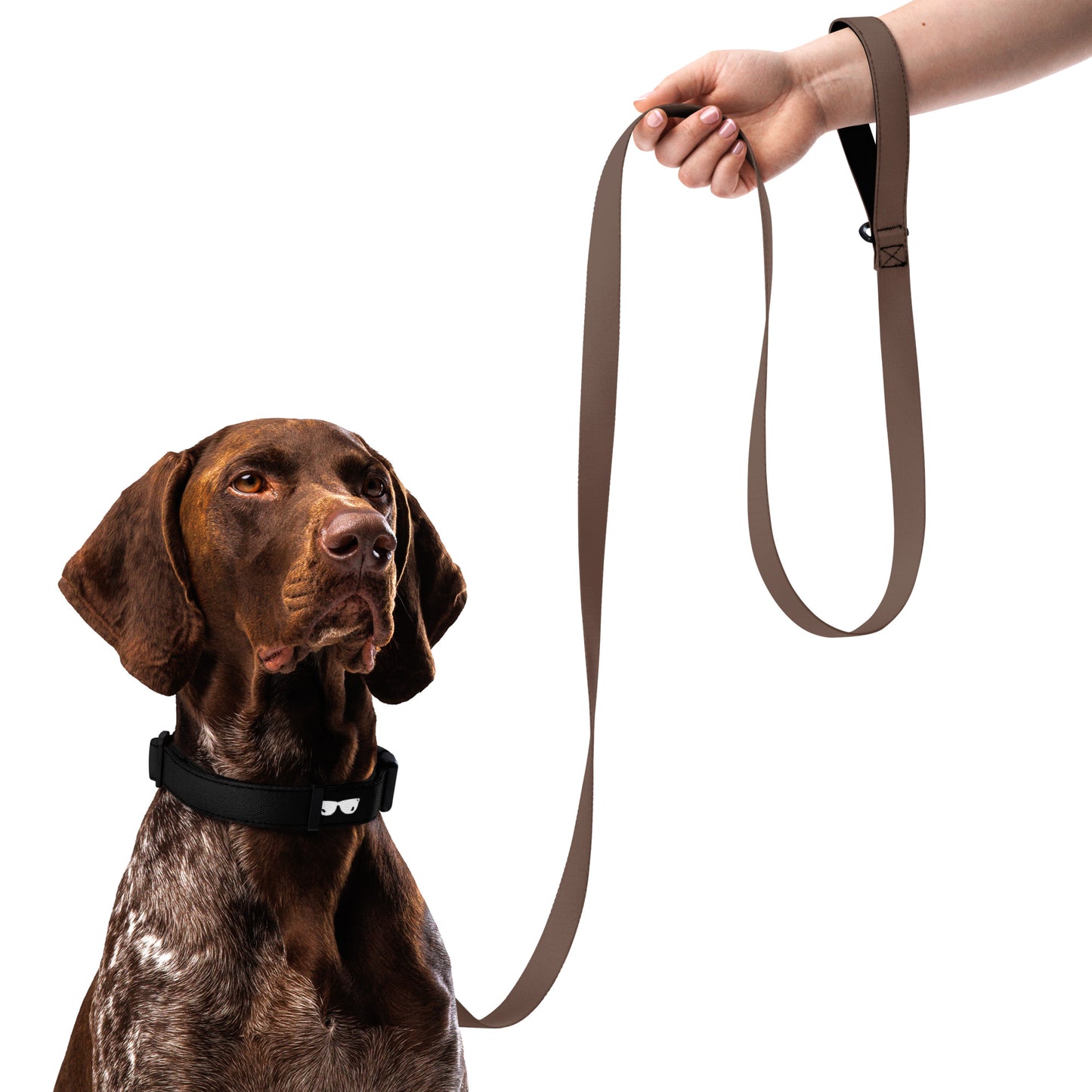 cavewomen rock Pet collar